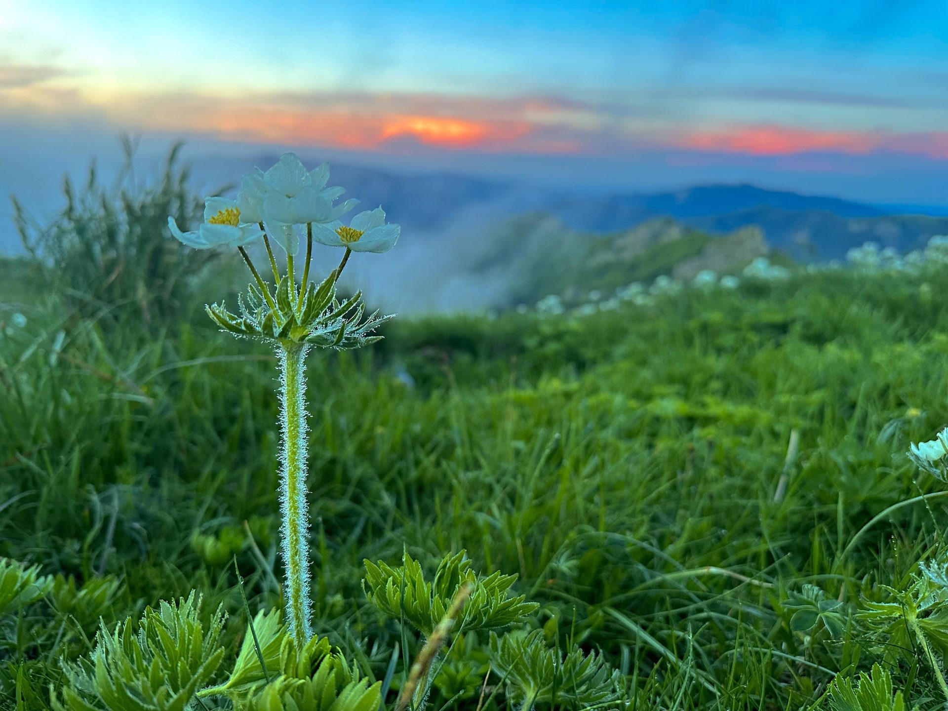 Il risveglio della primavera